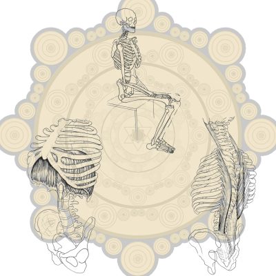 Anatomie et yoga